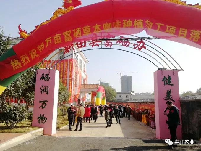 首页 产业新闻 省内动态 参加此次揭牌活动的领导有:新田县县委副书记